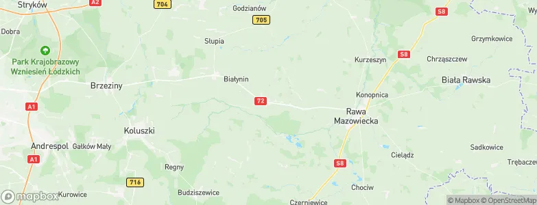 Głuchów, Poland Map