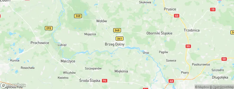 Gmina Brzeg Dolny, Poland Map