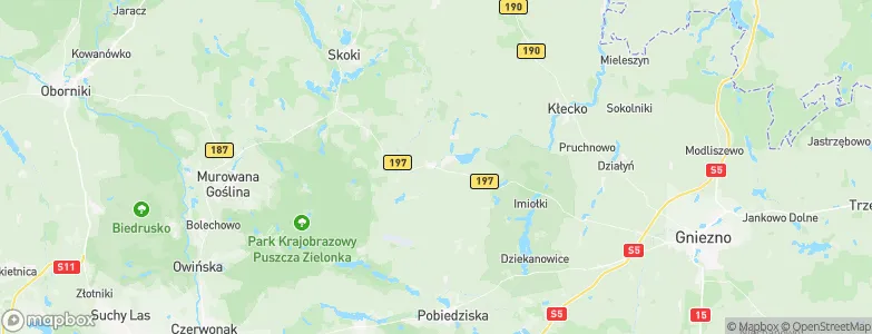 Gmina Kiszkowo, Poland Map