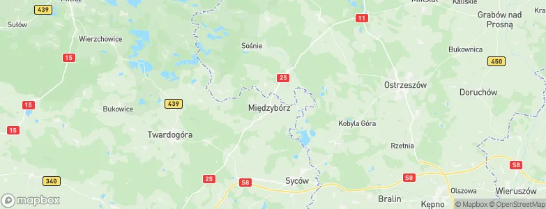 Gmina Międzybórz, Poland Map