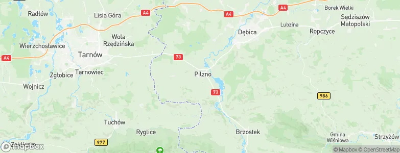Gmina Pilzno, Poland Map