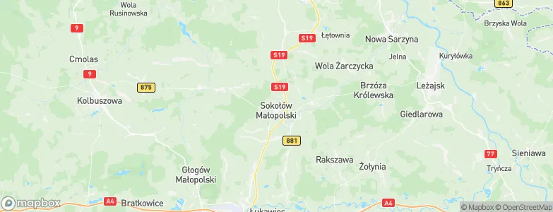 Gmina Sokołów Małopolski, Poland Map