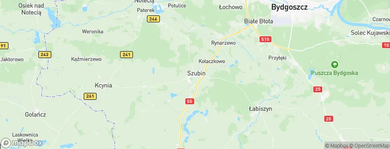 Gmina Szubin, Poland Map