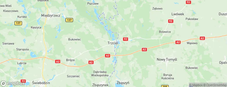 Gmina Trzciel, Poland Map