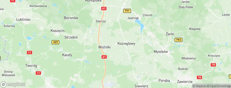 Gniazdów, Poland Map