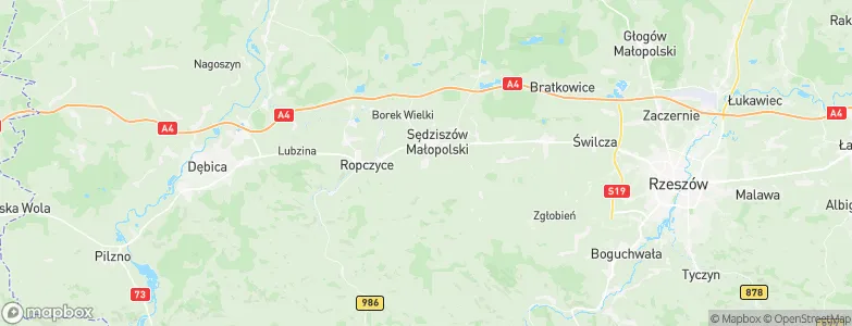 Góra Ropczycka, Poland Map
