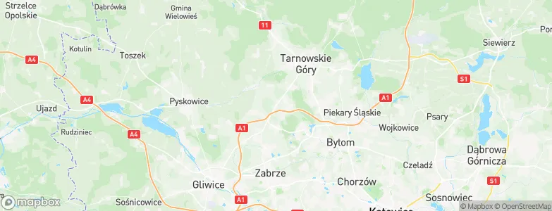 Górniki, Poland Map