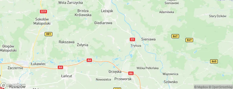 Grodzisko Dolne, Poland Map
