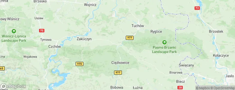 Gromnik, Poland Map