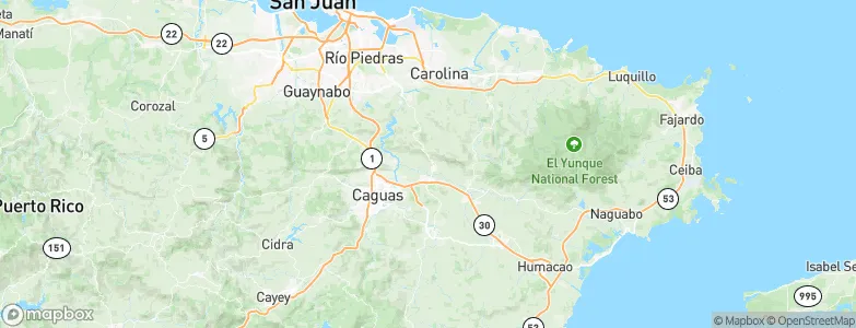 Gurabo, Puerto Rico Map