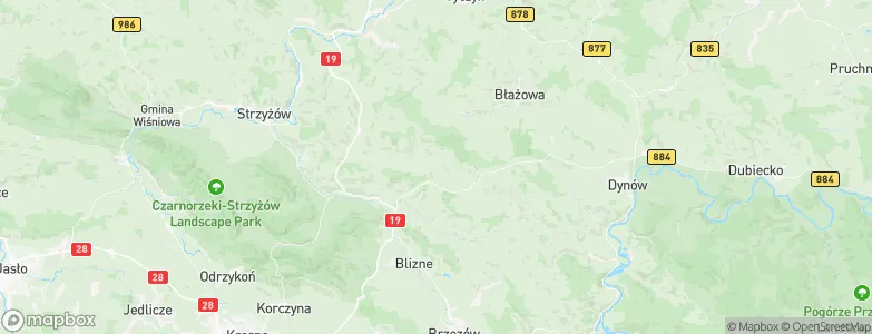 Gwoźnica Górna, Poland Map
