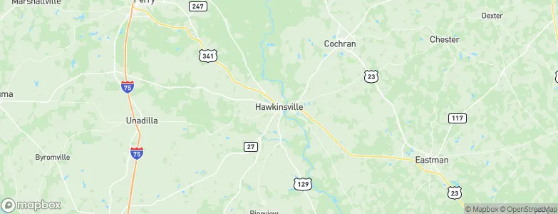 Hawkinsville, United States Map