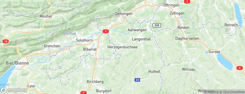 Herzogenbuchsee, Switzerland Map