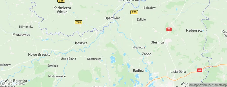 Jadowniki Mokre, Poland Map
