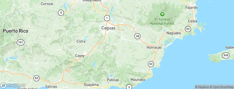 Jagual, Puerto Rico Map
