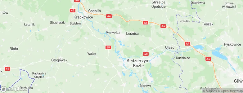 Januszkowice, Poland Map