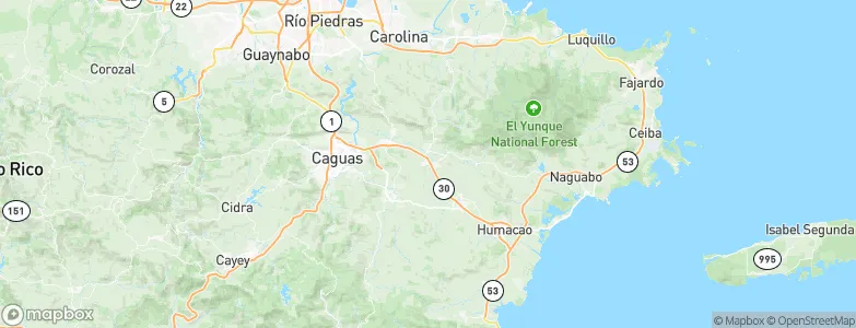 Juncos, Puerto Rico Map