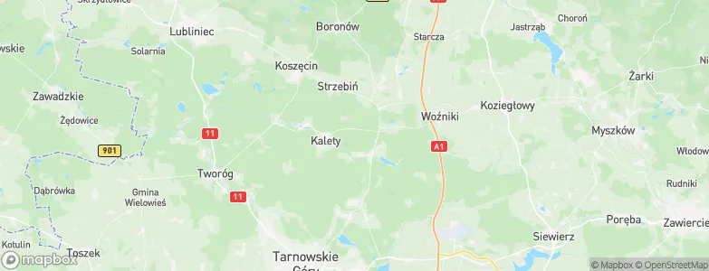 Kalety, Poland Map