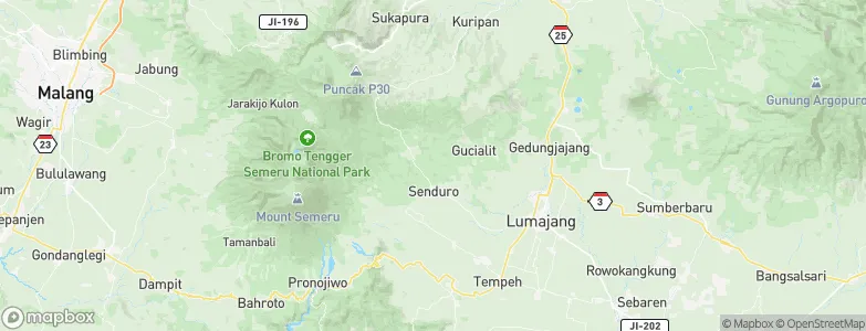 Kandangan, Indonesia Map