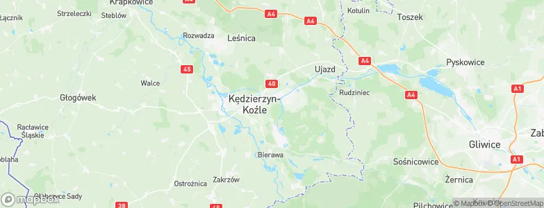Kędzierzyn-Koźle, Poland Map