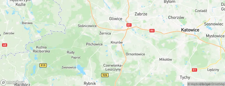 Knurów, Poland Map