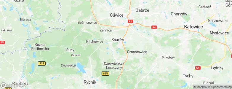 Knurów, Poland Map