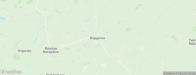 Knyaginino, Russia Map