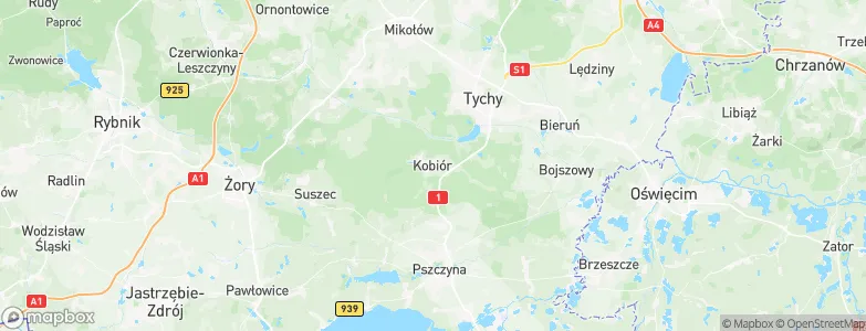 Kobiór, Poland Map