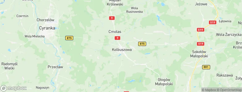 Kolbuszowa Dolna, Poland Map