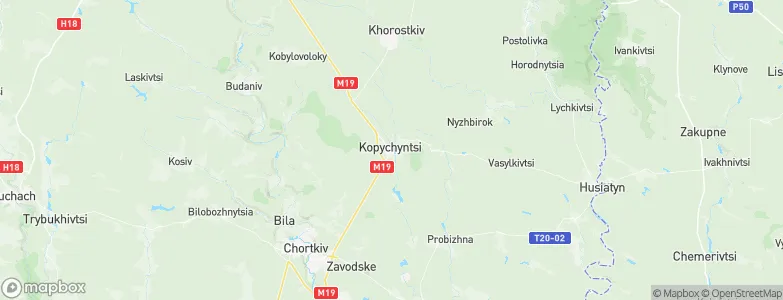 Kopychyntsi, Ukraine Map