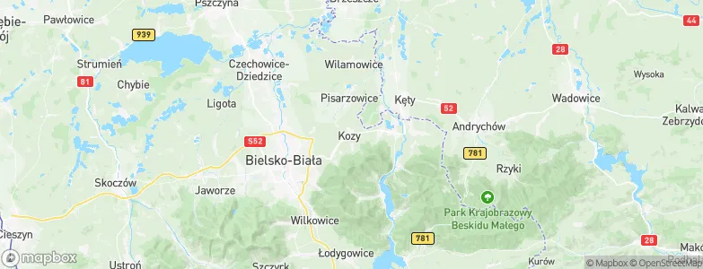 Kozy, Poland Map
