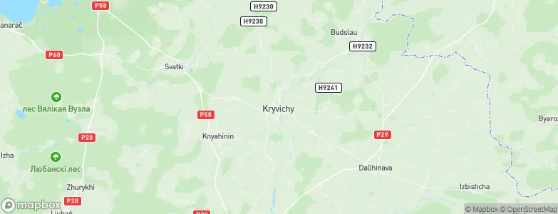 Krivichi, Belarus Map