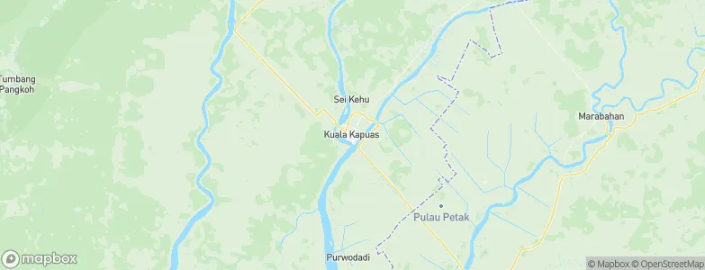 Kualakapuas, Indonesia Map
