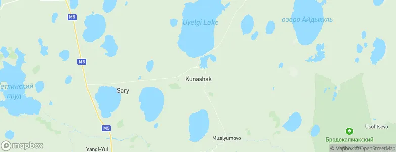 Kunashak, Russia Map