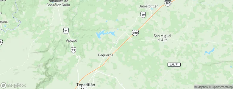 La Joya, Mexico Map