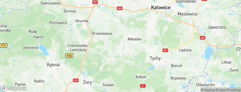 Łaziska Górne, Poland Map