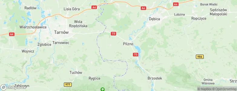 Łęki Dolne, Poland Map