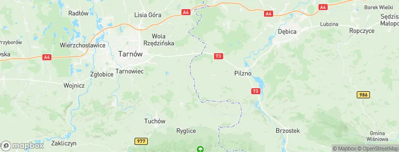 Łęki Górne, Poland Map