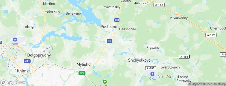 Lesnyye Polyany, Russia Map