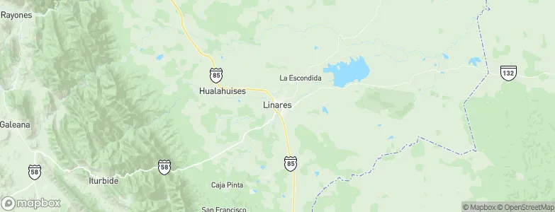 Linares, Mexico Map