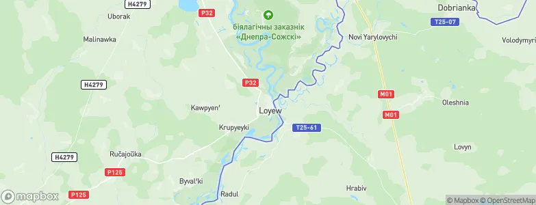 Loyew, Belarus Map