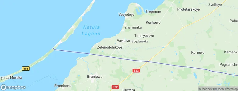 Mamonovo, Russia Map