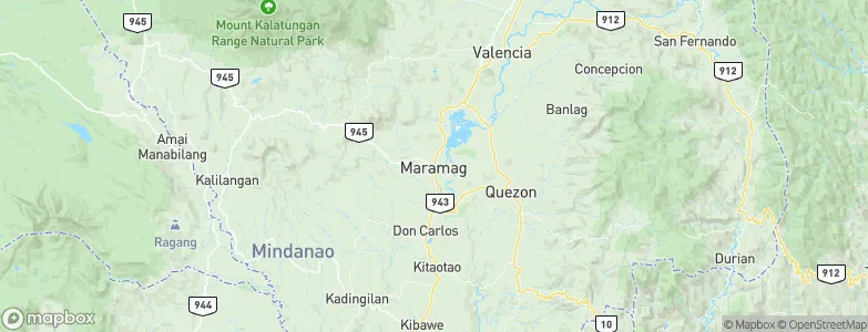 Maramag, Philippines Map