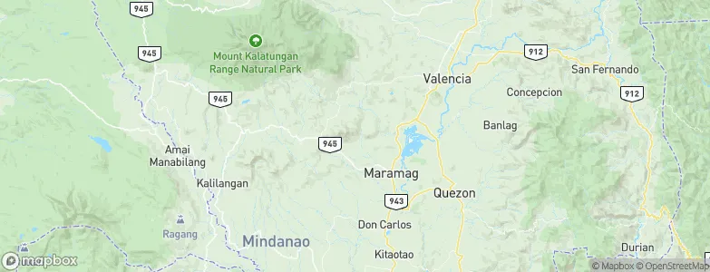 Maramag, Philippines Map