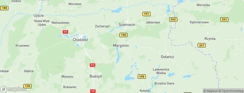 Margonin, Poland Map
