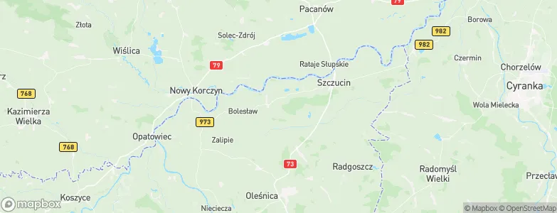 Mędrzechów, Poland Map