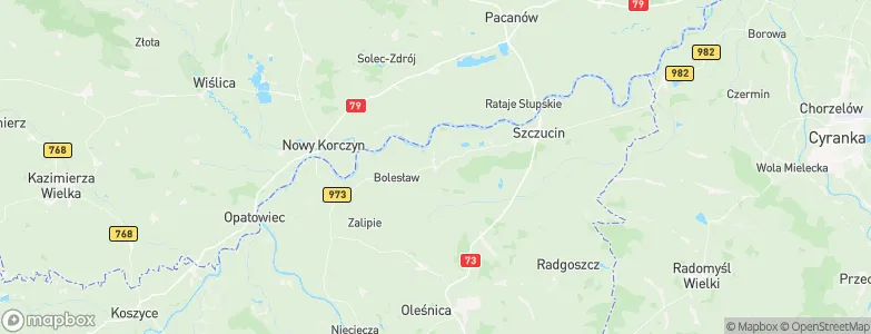 Mędrzechów, Poland Map
