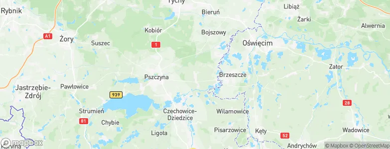 Miedźna, Poland Map