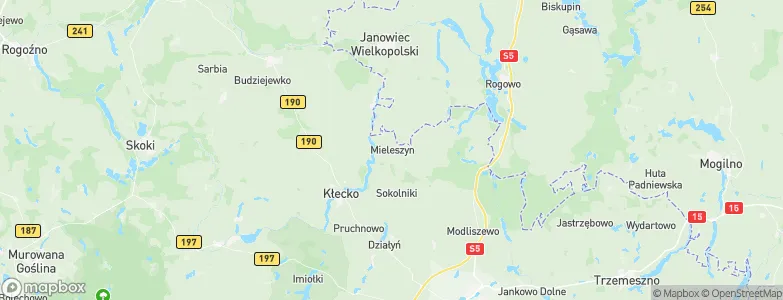 Mieleszyn, Poland Map