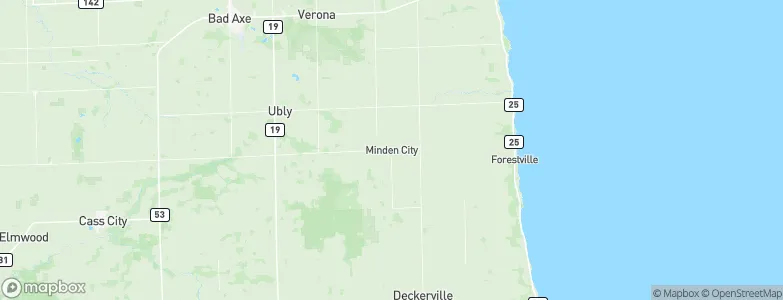 Minden City, United States Map